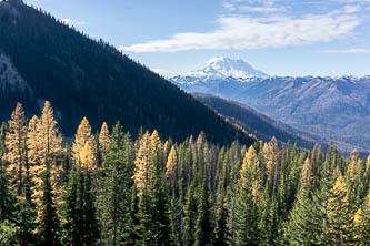 Mount Rainier