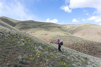 East slopes of Badger Mountain