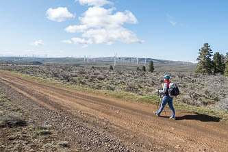 Quilomene Ridge Road