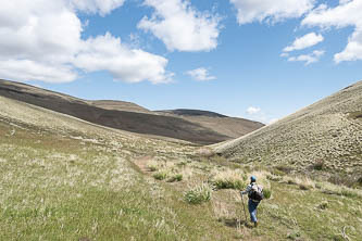 Quilomene Creek Valley