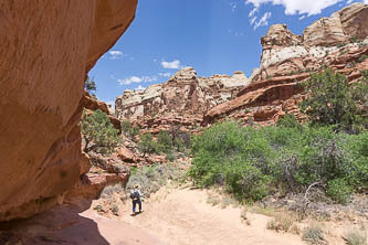 Deer Canyon