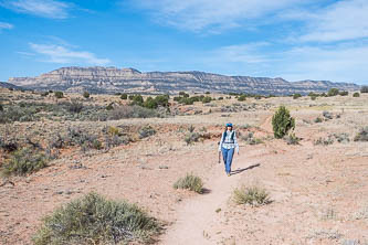 Zebra Slot Trail