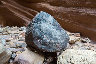 Petrified wood