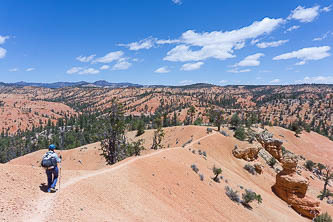 Golden Wall Trail