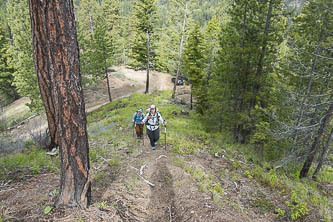 Our trailhead on FS 7230