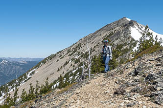 Nelson Ridge Trail