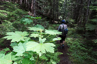 High Divide Trail