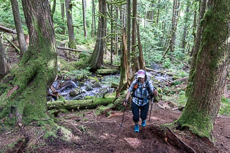 Tinkham trail