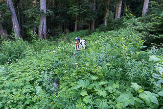 Meadow Creek Trail