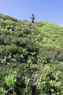 Long heather descent