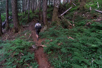 Boulder Lake Trail