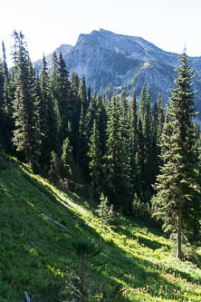 Mac Peak from Surprise Mountain Trail