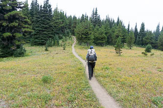 Obstruction Point - Deer Park Trail