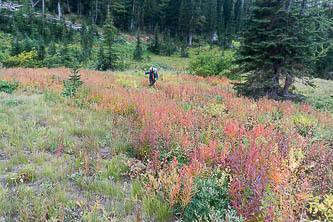 There was no wind in the morning, so we decided to exit via the Icicle Ridge Trail after all.