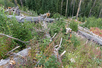 Ascending out of Cabin Creek Valley