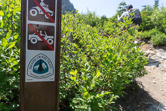 Windy Pass trailhead